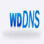 wdDNS,智能DNS软件